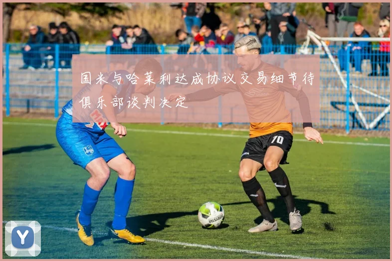 国米与哈莱利达成协议交易细节待俱乐部谈判决定
