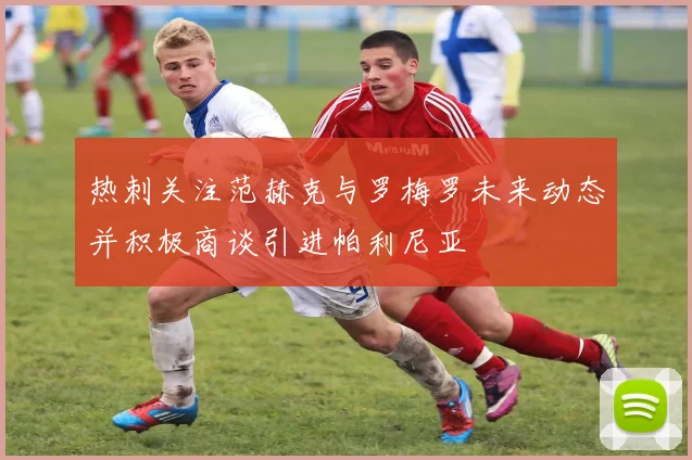 热刺关注范赫克与罗梅罗未来动态并积极商谈引进帕利尼亚